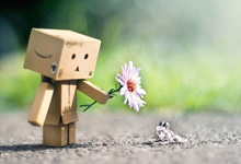 Helmet-Compatible Adjustable Hood with Reinforced Brim Structure