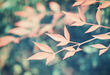 YKK AquaGuard Zippers for Enhanced Weather Protection and Durability