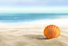 High Fill Power Goose Down for Superior Thermal Efficiency