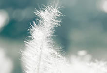 Breathable Membrane Integration for Moisture Management During High Activity