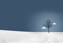 High Fill Power Goose Down for Superior Thermal Efficiency